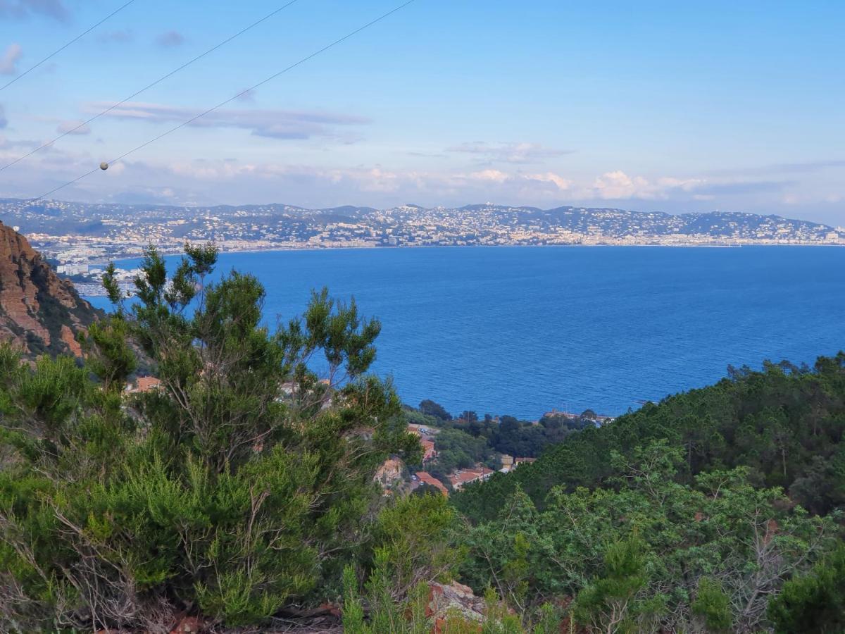 Grand Studio La Napoule Mandelieu Εξωτερικό φωτογραφία